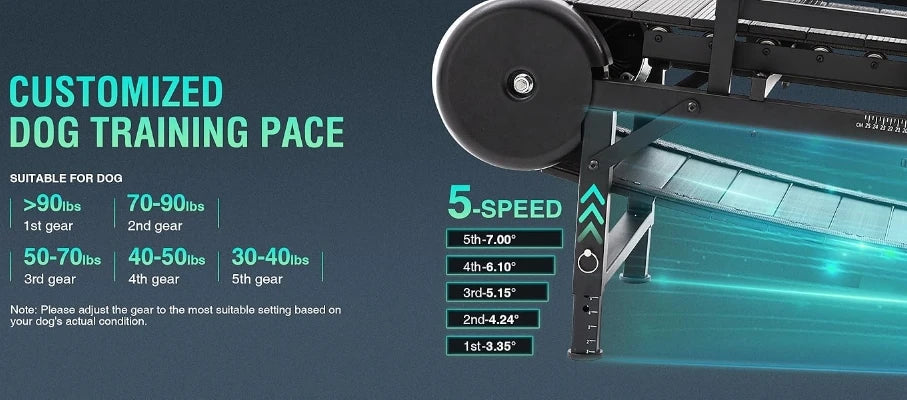 Pet Dog Treadmill