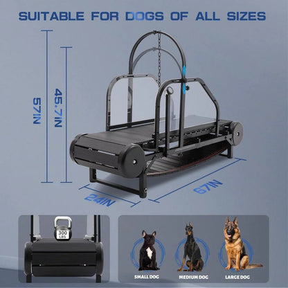 Dog Treadmill