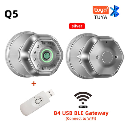 RAYKUBE Fingerprint door lock