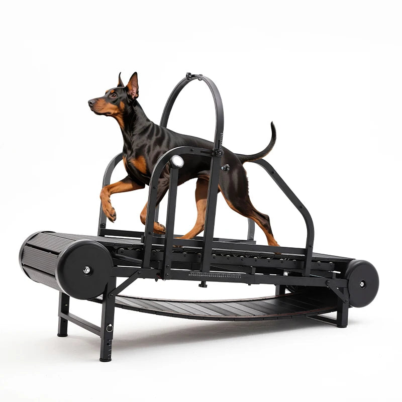 Pet Dog Treadmill