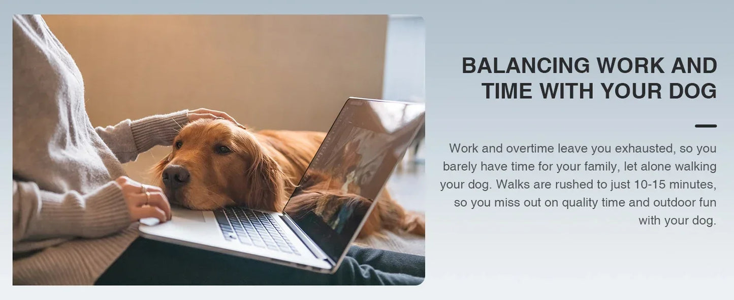 Professional Dog Treadmill