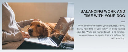 Professional Dog Treadmill