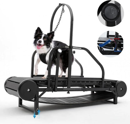 Dog Treadmill