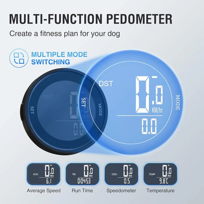 Professional Dog Treadmill