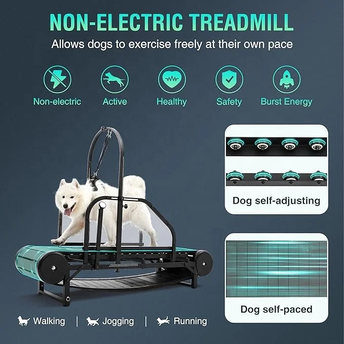 Pet Dog Treadmill