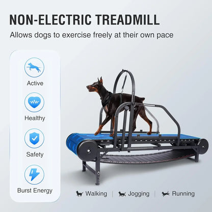 Professional Dog Treadmill