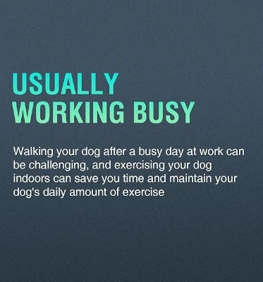 Pet Dog Treadmill