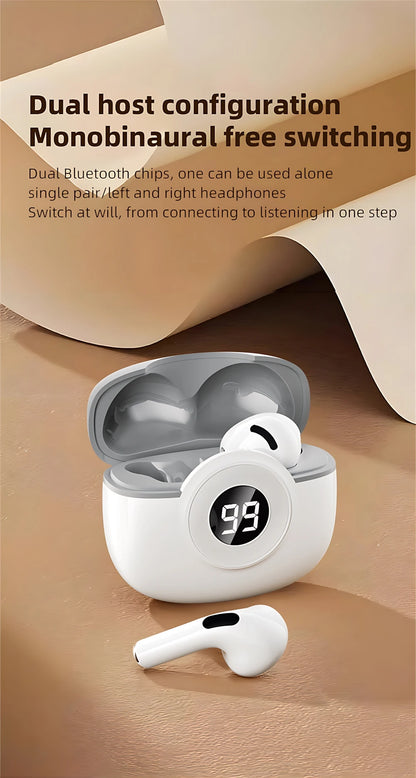 L Earbuds
