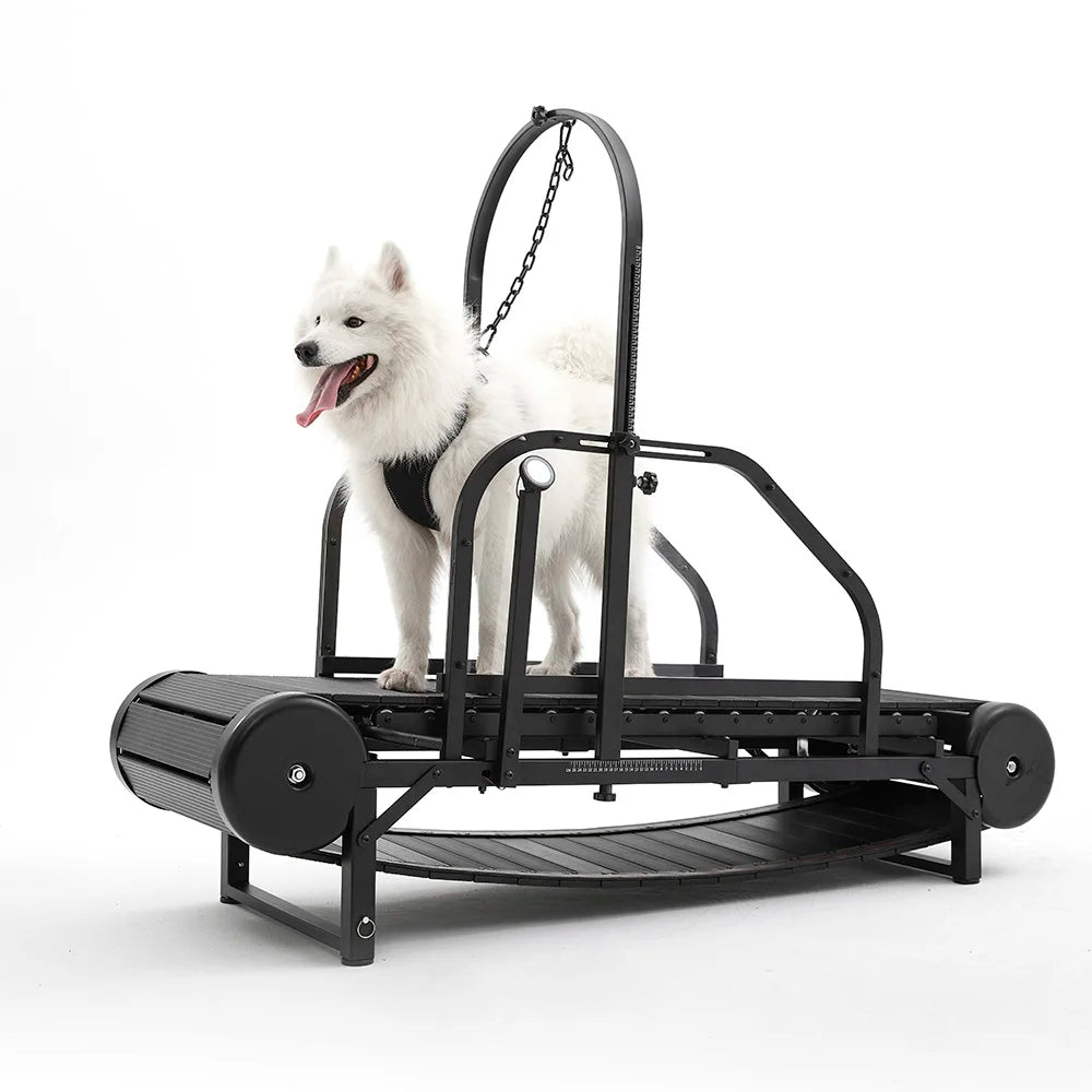 Pet Dog Treadmill