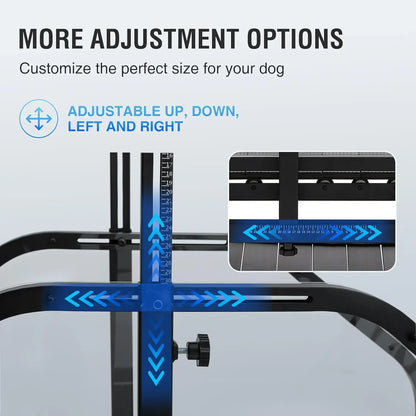 Professional Dog Treadmill