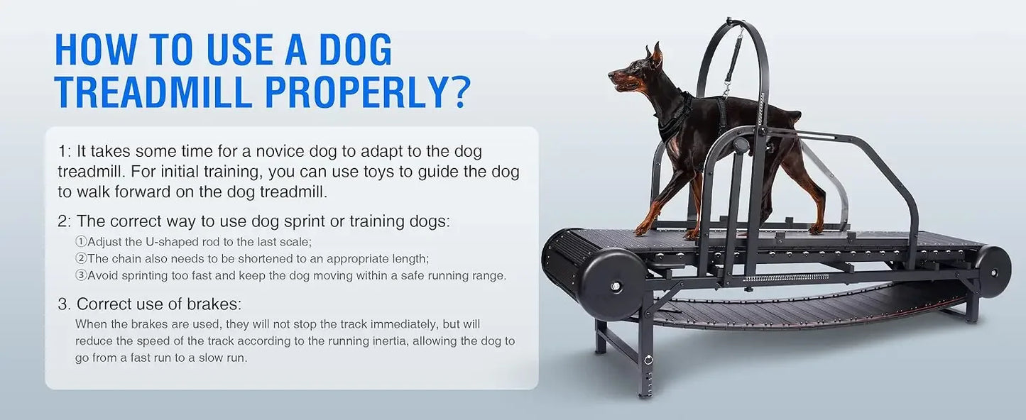 Professional Dog Treadmill