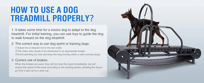 Professional Dog Treadmill