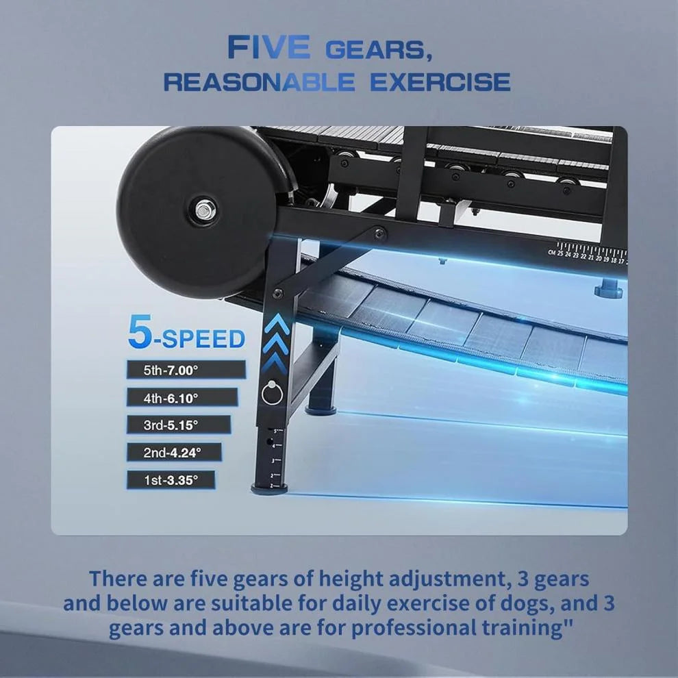 Dog Treadmill