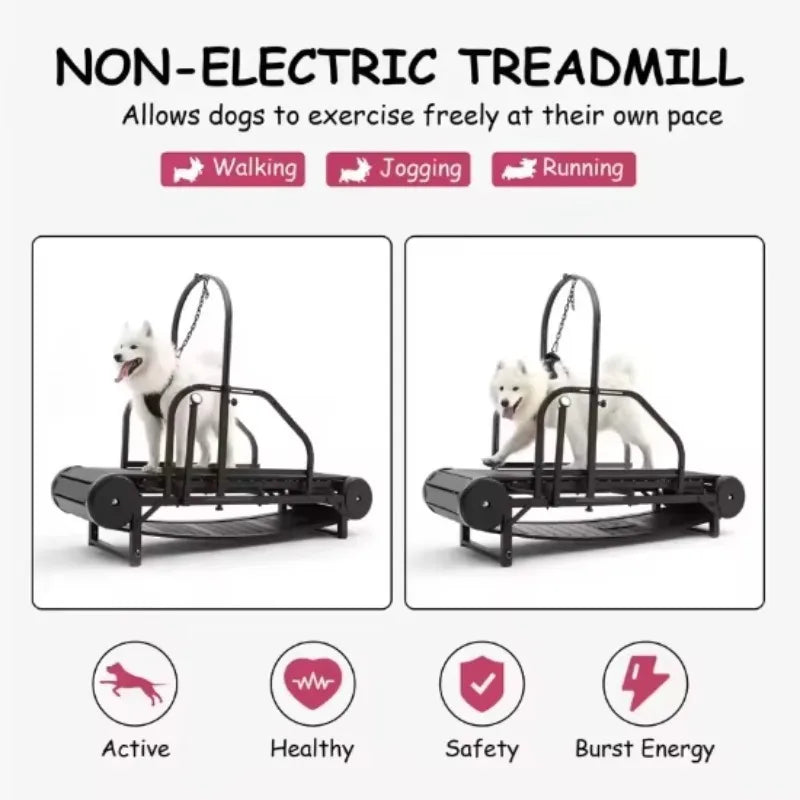 Dog Treadmill