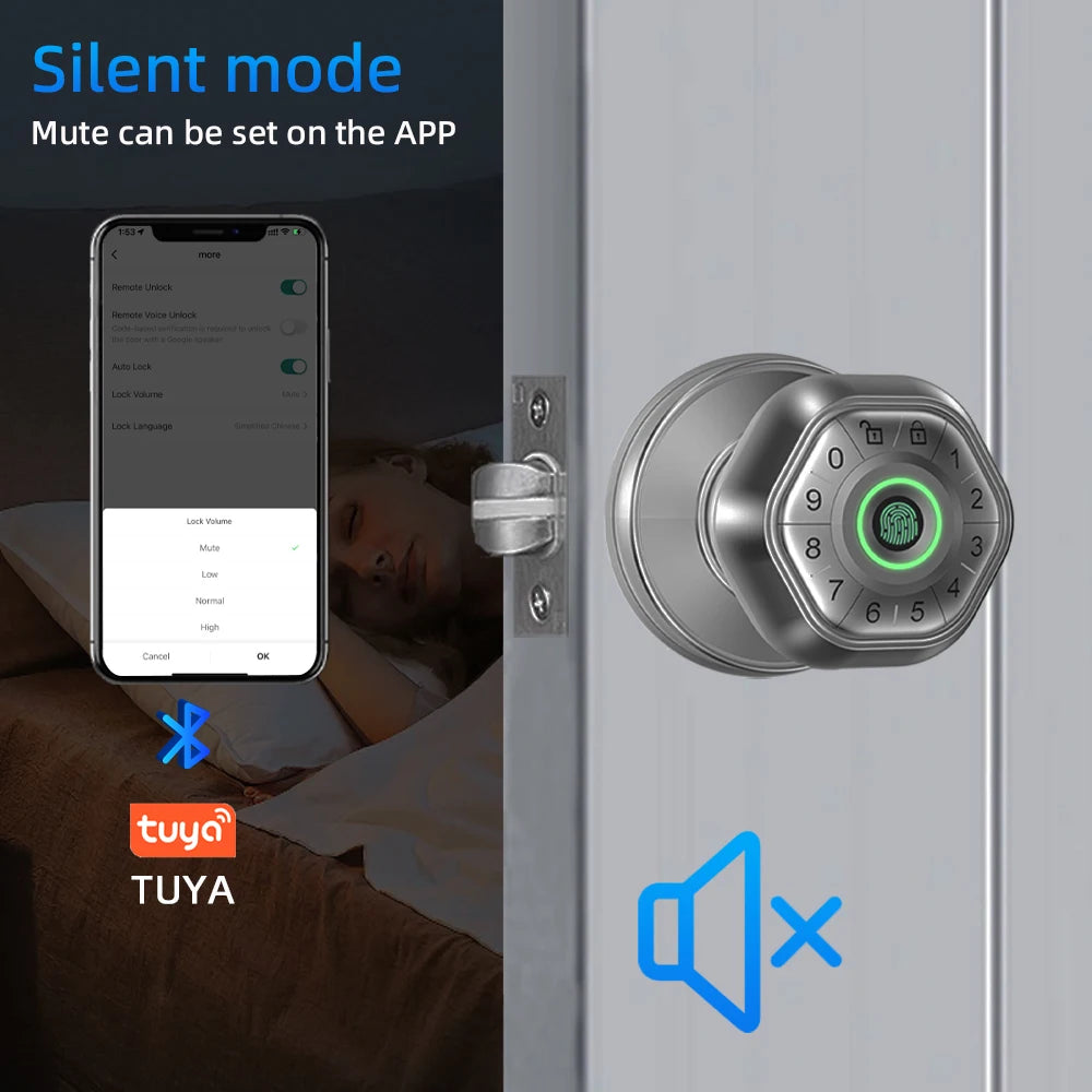 RAYKUBE Fingerprint door lock
