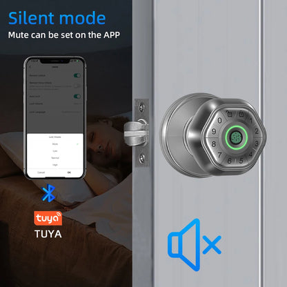 RAYKUBE Fingerprint door lock
