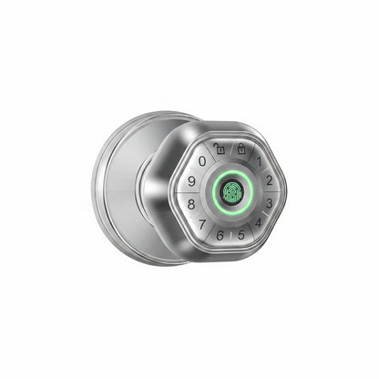 RAYKUBE Fingerprint door lock