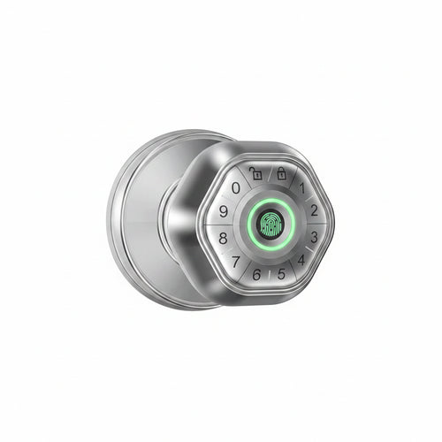 RAYKUBE Fingerprint door lock