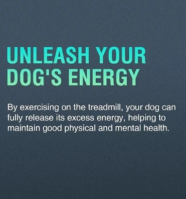 Pet Dog Treadmill