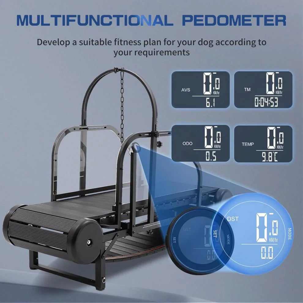 Dog Treadmill