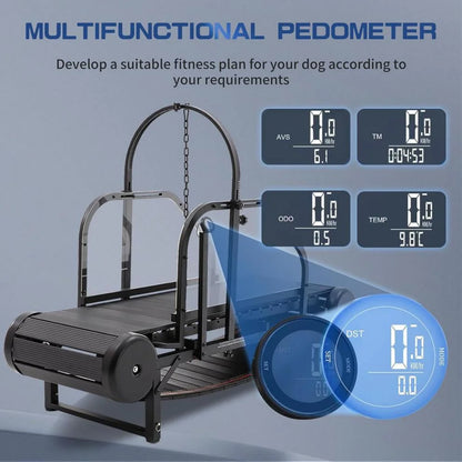 Dog Treadmill